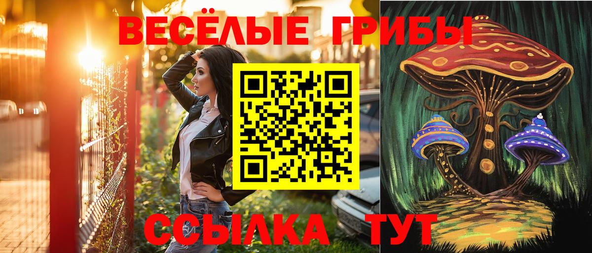 Саяногорск  Галлюциногенные грибы мицелий  Вход с VPN 